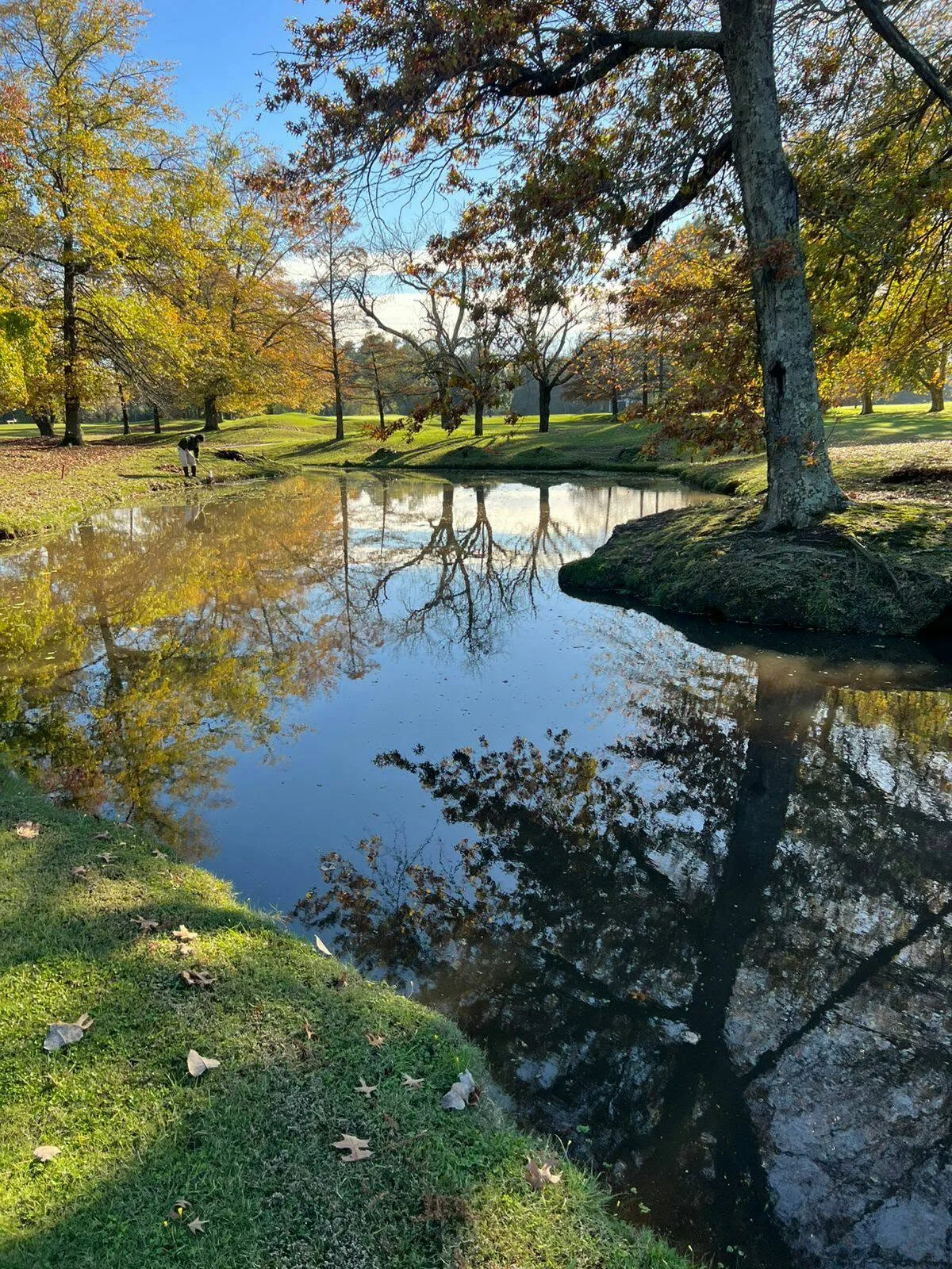 Laguna con reflejos de árboles otoñales