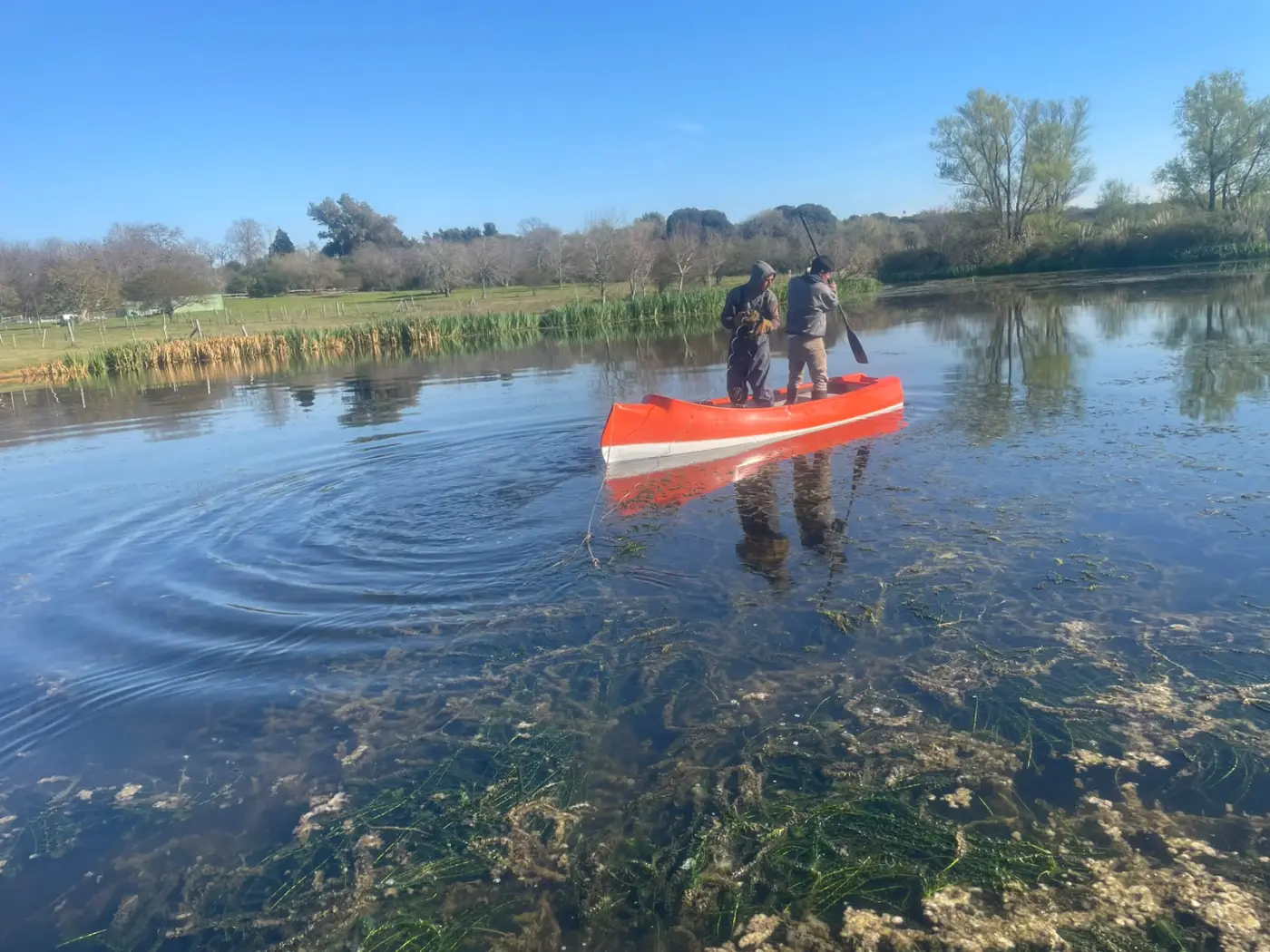 Técnicos en kayak haciendo tareas de mantenimiento en una laguna con vegetación sumergida